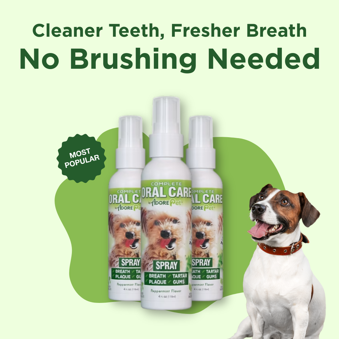 Oral Care Spray